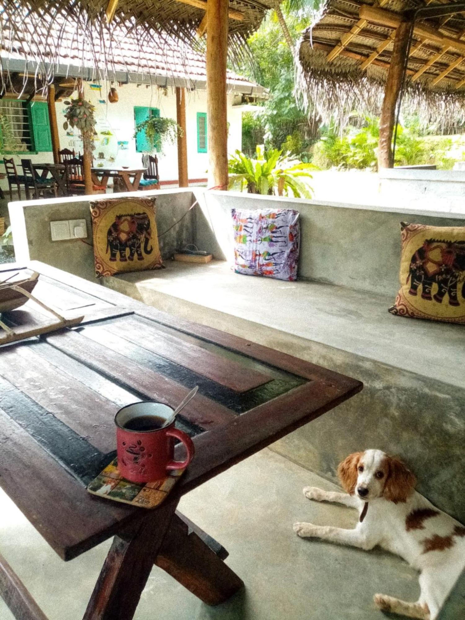 Lazy Monkey Surfhostel - Sri Lanka Dickwella Exterior photo